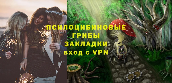 бошки Гусев