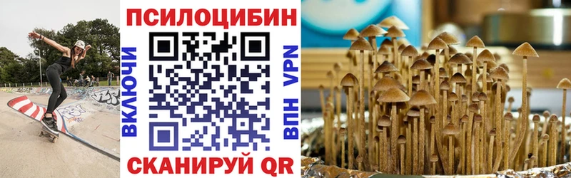 Псилоцибиновые грибы Cubensis Когалым